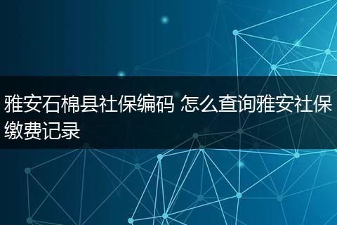雅安石棉县社保编码 怎么查询雅安社保缴费记录