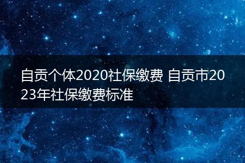 自贡个体2020社保缴费 自贡市2023年社保缴费标准