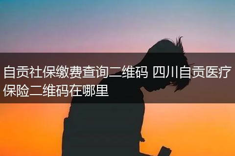 自贡社保缴费查询二维码 四川自贡医疗保险二维码在哪里