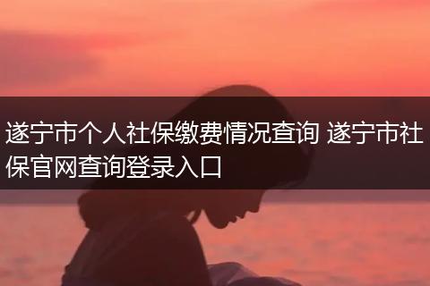 遂宁市个人社保缴费情况查询 遂宁市社保官网查询登录入口