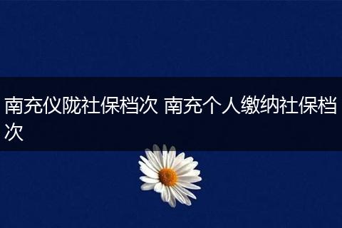 南充仪陇社保档次 南充个人缴纳社保档次
