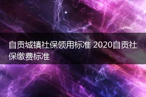 自贡城镇社保领用标准 2020自贡社保缴费标准