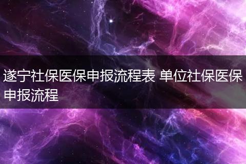 遂宁社保医保申报流程表 单位社保医保申报流程