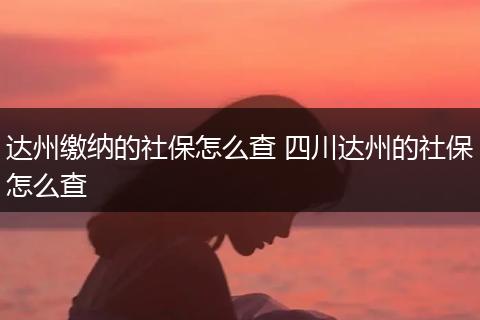 达州缴纳的社保怎么查 四川达州的社保怎么查