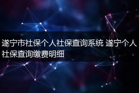 遂宁市社保个人社保查询系统 遂宁个人社保查询缴费明细
