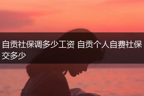 自贡社保调多少工资 自贡个人自费社保交多少