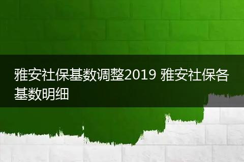 雅安社保基数调整2019 雅安社保各基数明细