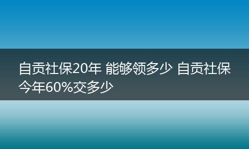 自贡社保20年 能够领多少 自贡社保今年60%交多少