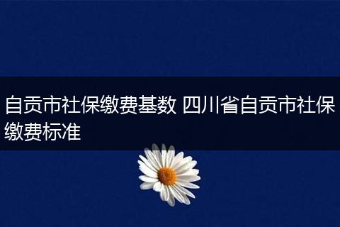 自贡市社保缴费基数 四川省自贡市社保缴费标准