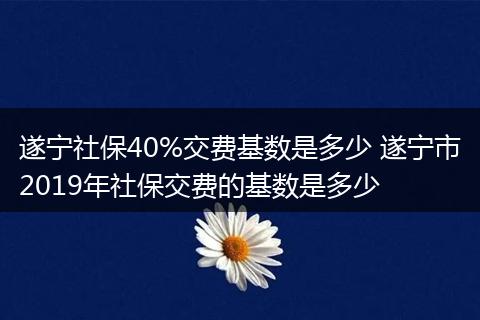 遂宁社保40%交费基数是多少 遂宁市2019年社保交费的基数是多少