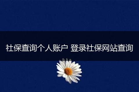 社保查询个人账户 登录社保网站查询