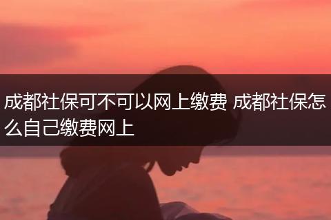 成都社保可不可以网上缴费 成都社保怎么自己缴费网上