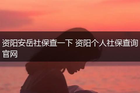 资阳安岳社保查一下 资阳个人社保查询官网