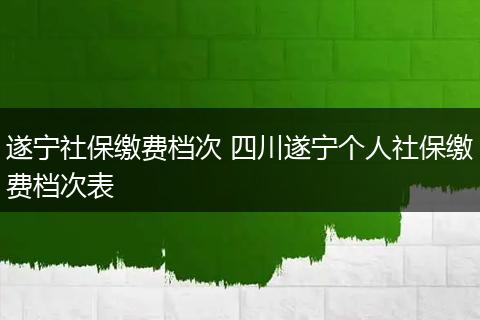遂宁社保缴费档次 四川遂宁个人社保缴费档次表