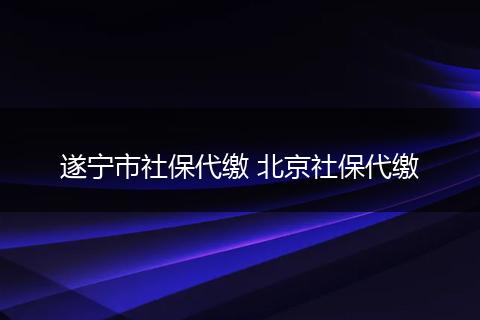 遂宁市社保代缴 北京社保代缴