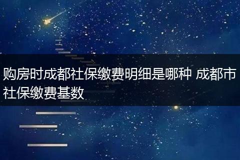 购房时成都社保缴费明细是哪种 成都市社保缴费基数