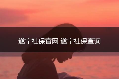 遂宁社保官网 遂宁社保查询