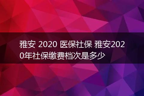 雅安 2020 医保社保 雅安2020年社保缴费档次是多少