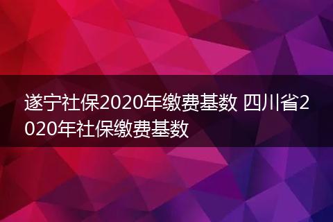 遂宁社保2020年缴费基数 四川省2020年社保缴费基数