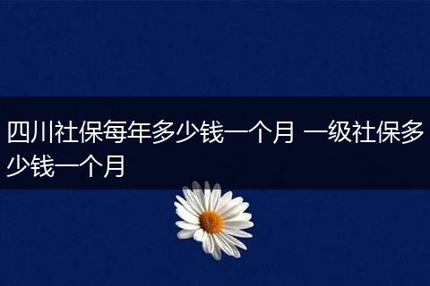 四川社保每年多少钱一个月 一级社保多少钱一个月