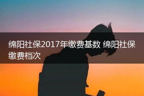 绵阳社保2017年缴费基数 绵阳社保缴费档次