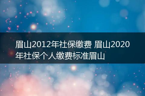 眉山2012年社保缴费 眉山2020年社保个人缴费标准眉山