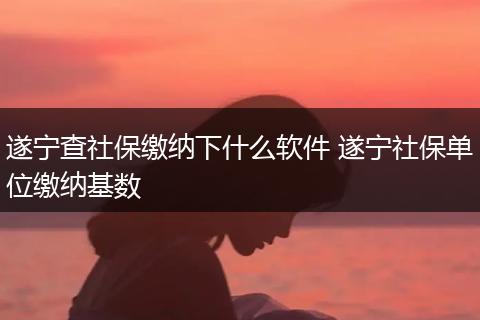 遂宁查社保缴纳下什么软件 遂宁社保单位缴纳基数