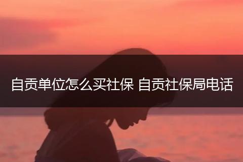 自贡单位怎么买社保 自贡社保局电话