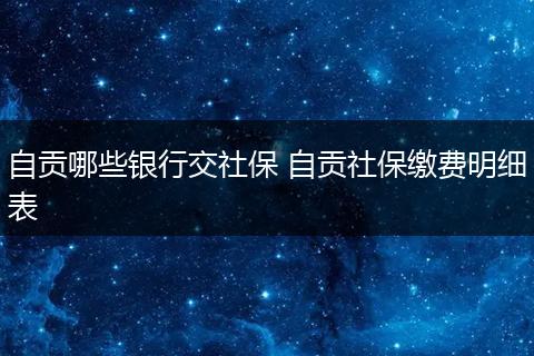 自贡哪些银行交社保 自贡社保缴费明细表