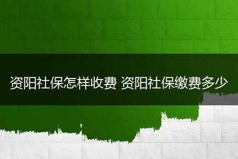 资阳社保怎样收费 资阳社保缴费多少