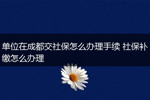 单位在成都交社保怎么办理手续 社保补缴怎么办理