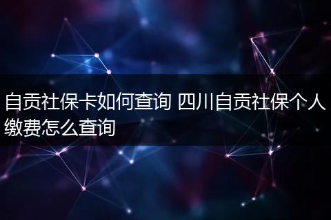 自贡社保卡如何查询 四川自贡社保个人缴费怎么查询