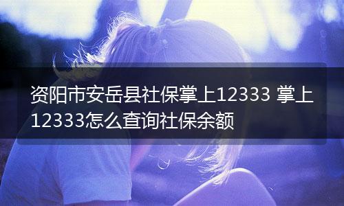 资阳市安岳县社保掌上12333 掌上12333怎么查询社保余额