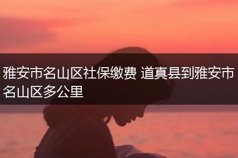 雅安市名山区社保缴费 道真县到雅安市名山区多公里