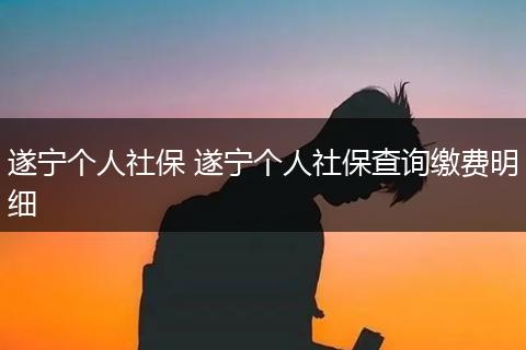 遂宁个人社保 遂宁个人社保查询缴费明细