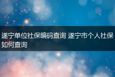 遂宁单位社保编码查询 遂宁市个人社保如何查询