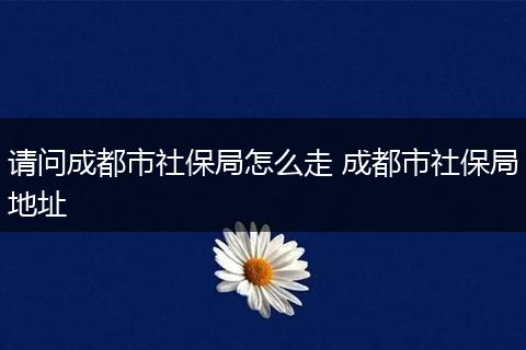 请问成都市社保局怎么走 成都市社保局地址