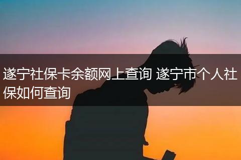 遂宁社保卡余额网上查询 遂宁市个人社保如何查询