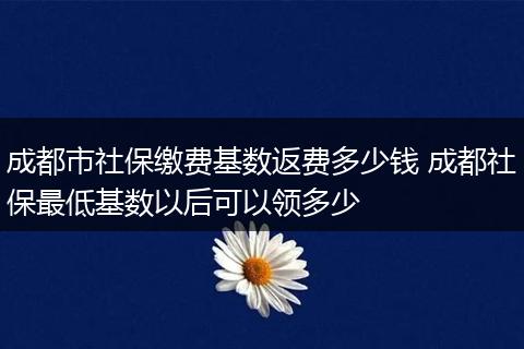 成都市社保缴费基数返费多少钱 成都社保最低基数以后可以领多少
