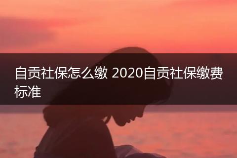 自贡社保怎么缴 2020自贡社保缴费标准