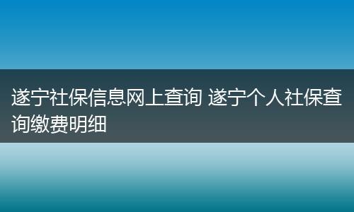 遂宁社保信息网上查询 遂宁个人社保查询缴费明细