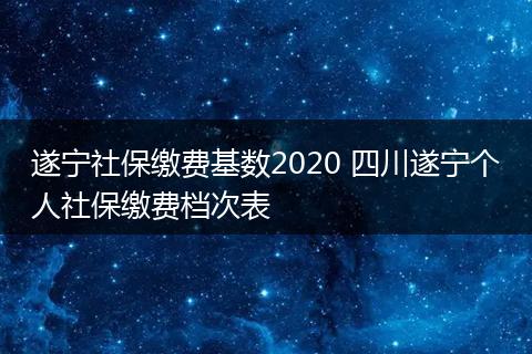 遂宁社保缴费基数2020 四川遂宁个人社保缴费档次表