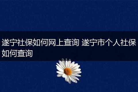 遂宁社保如何网上查询 遂宁市个人社保如何查询