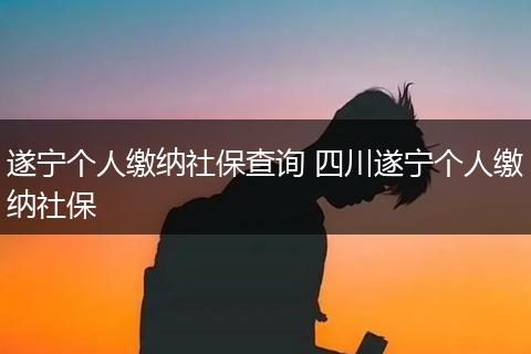 遂宁个人缴纳社保查询 四川遂宁个人缴纳社保