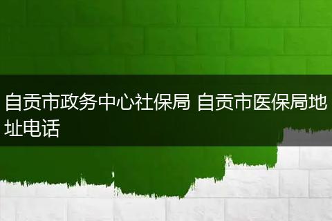 自贡市政务中心社保局 自贡市医保局地址电话
