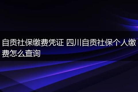 自贡社保缴费凭证 四川自贡社保个人缴费怎么查询