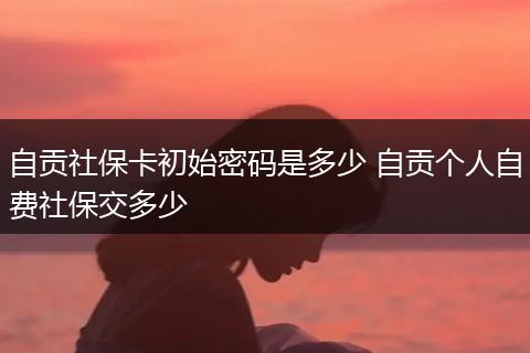自贡社保卡初始密码是多少 自贡个人自费社保交多少