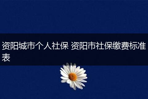 资阳城市个人社保 资阳市社保缴费标准表