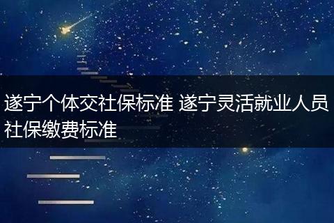 遂宁个体交社保标准 遂宁灵活就业人员社保缴费标准