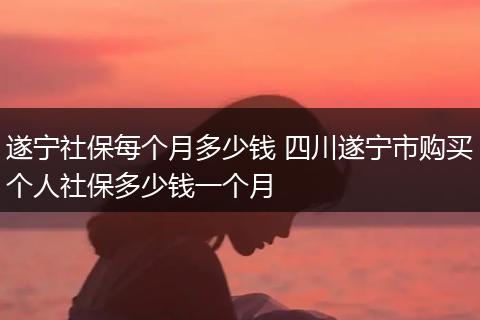 遂宁社保每个月多少钱 四川遂宁市购买个人社保多少钱一个月